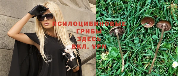 ГАЛЛЮЦИНОГЕННЫЕ ГРИБЫ Алзамай