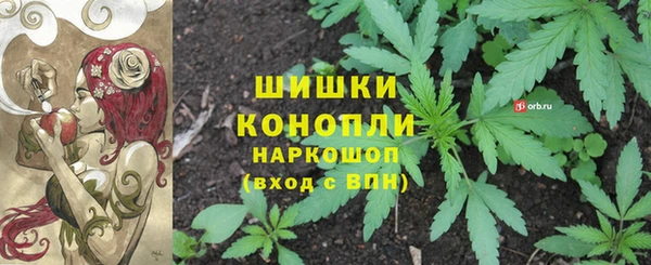 ГАЛЛЮЦИНОГЕННЫЕ ГРИБЫ Алзамай