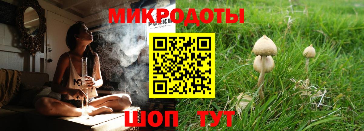 Галлюциногенные грибы Cubensis  Вход с VPN  Сосновый Бор  Псилоцибиновые грибы MAGIC MUSHROOMS 