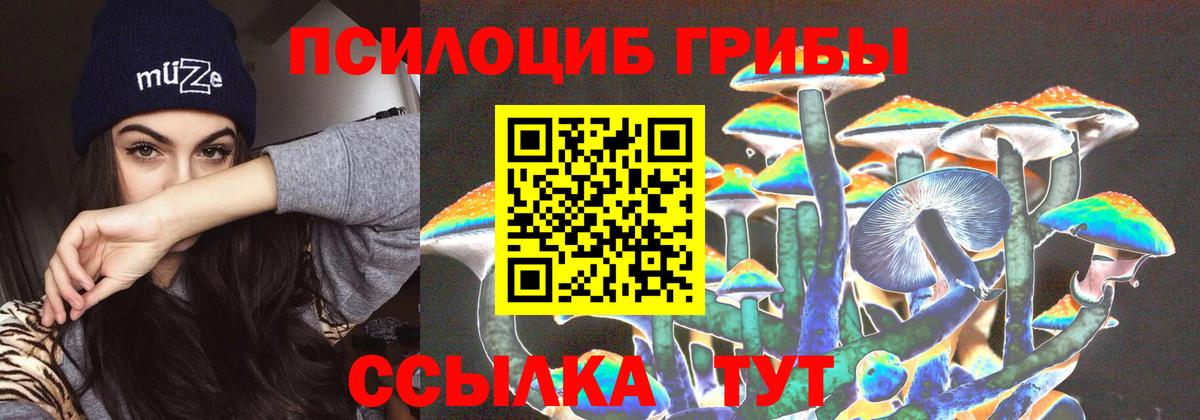 Псилоцибиновые грибы Magic Shrooms Сосновый Бор