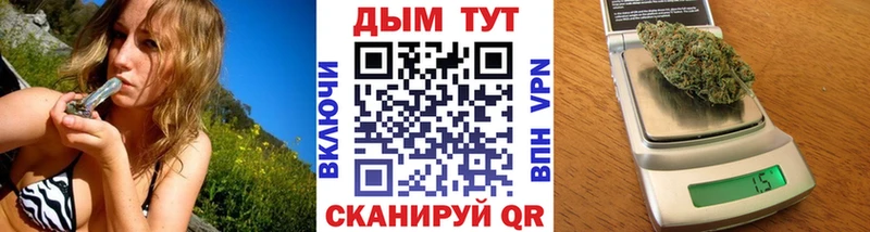 где можно купить   Сосновый Бор  Марихуана Amnesia 